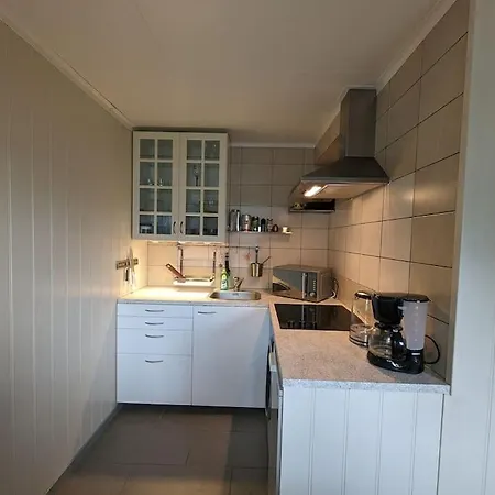 Apartmán Hardangerfjord View 1 *